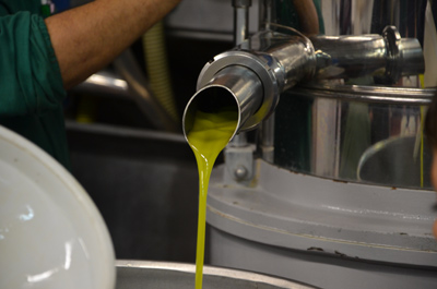 Olio d'oliva spremuto a freddo